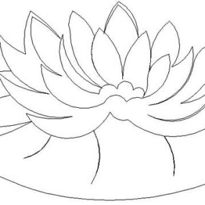 300x300 Drawing Frog On Lily Pad Coloring Page Color Luna