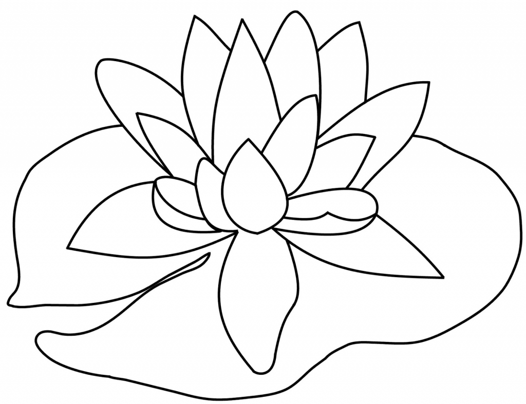 1024x787 Drawing Of A Lily Pad Coloring Page Of A Lily Pad Free Coloring