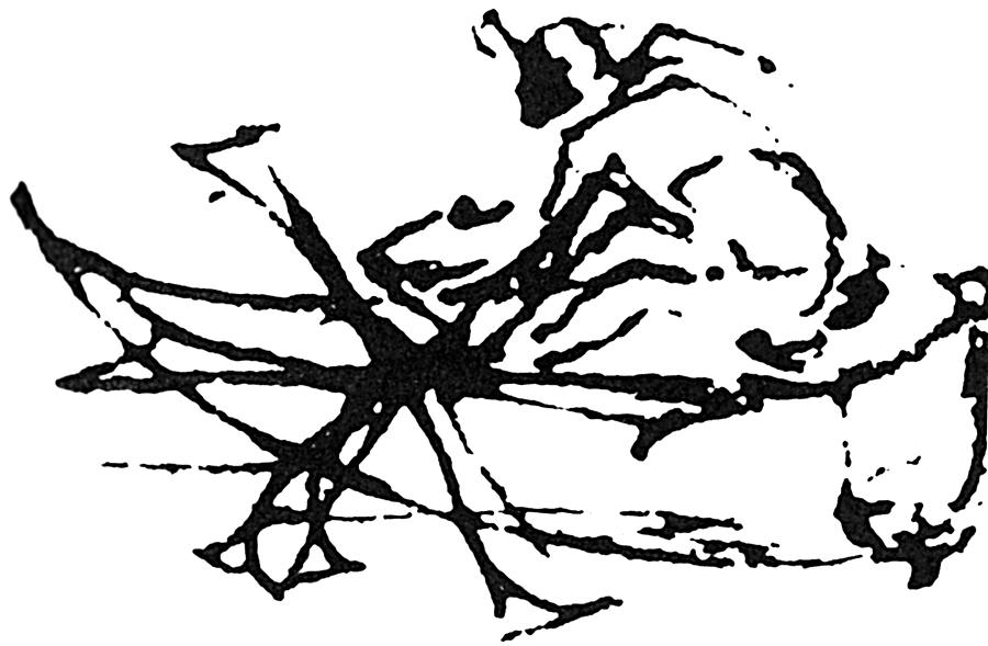 900x589 Leonardo Paddle Boat Photograph By Granger