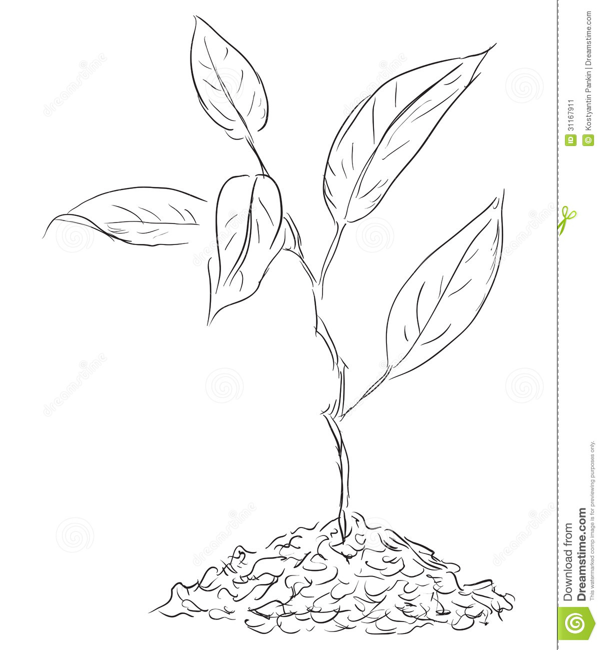 1204x1300 Plant Sprout Drawing