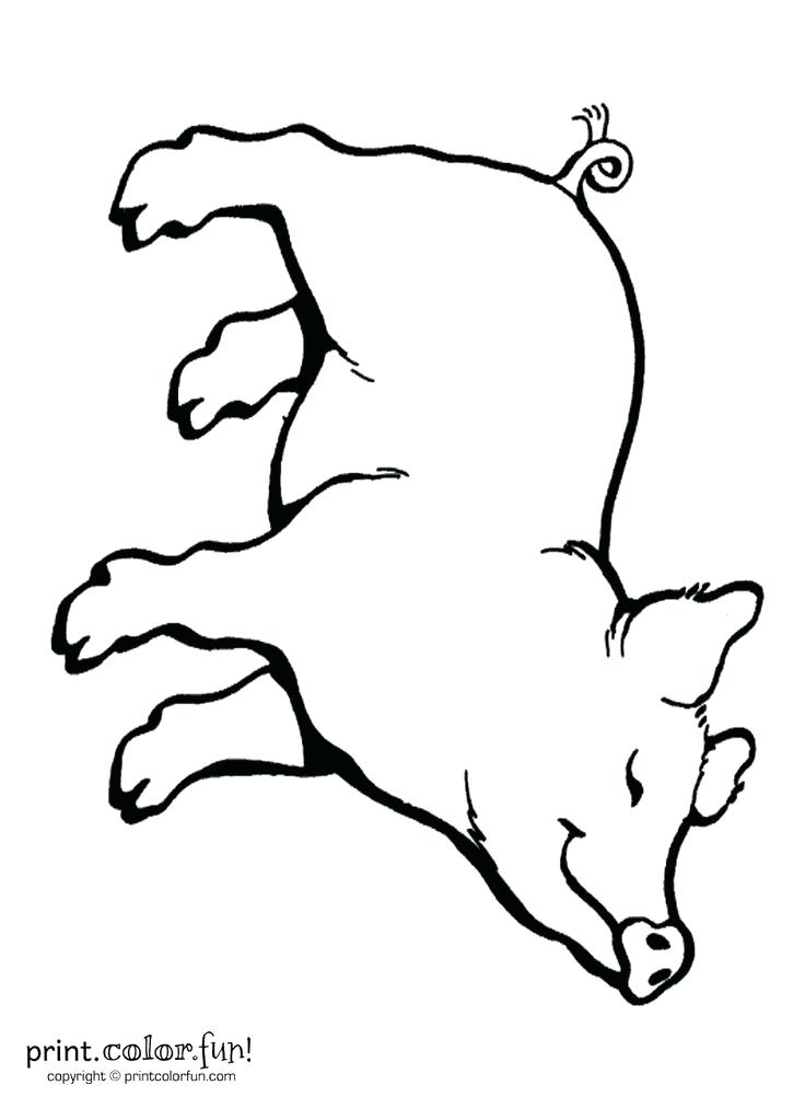 736x1012 Paint Brush Coloring Page Cw Read Aloud Colouring Page Pig Paint