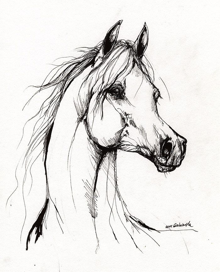 Paint Horse Drawing