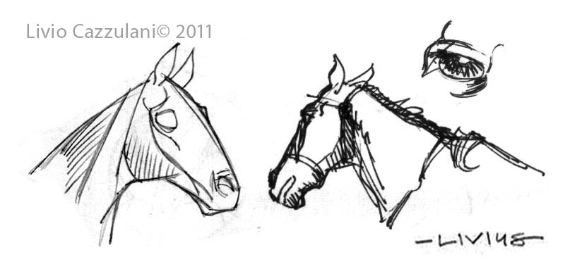 800x392 Horses And Women Livius' Notes