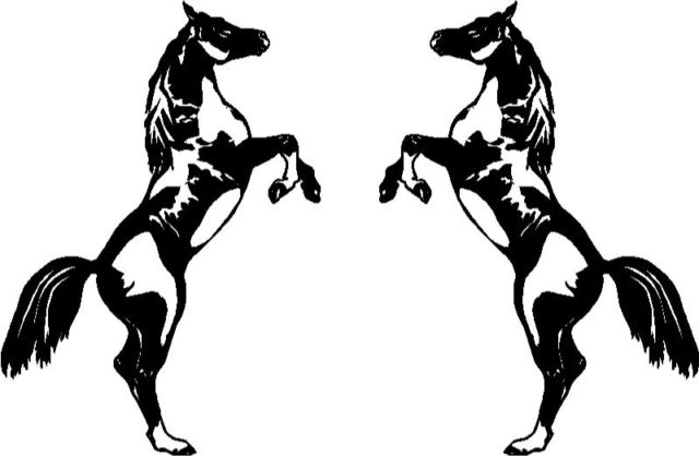 640x418 2 Rearing Pintopaint Horse Graphic Sticker Decal Ebay