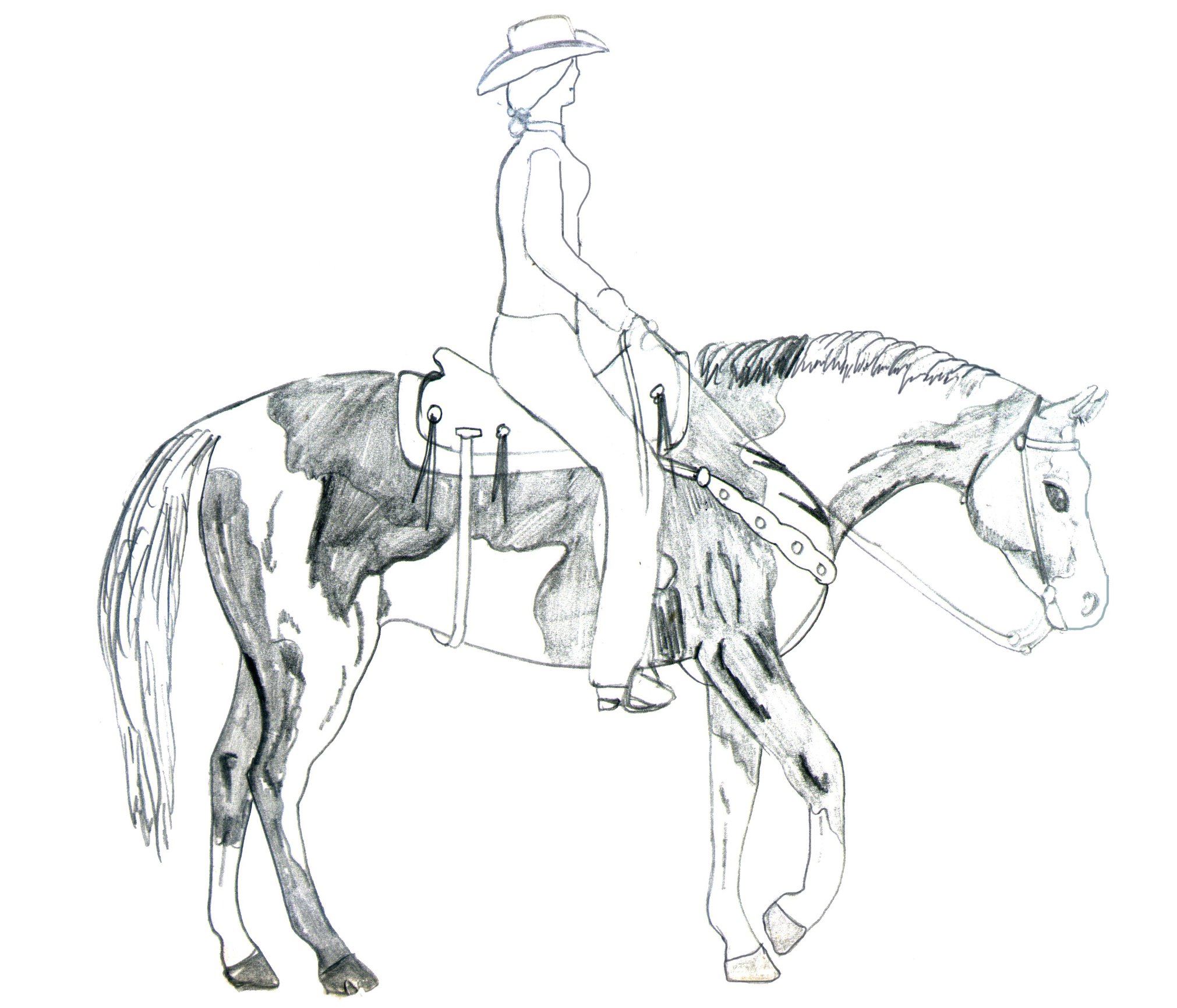 2021x1730 Paint Horse By Kenshin S Mom