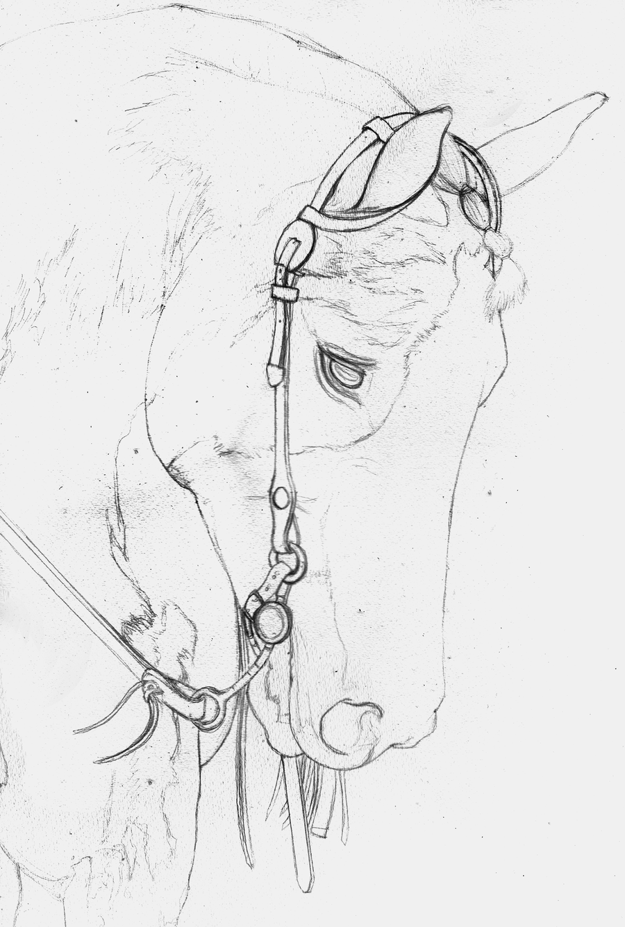 900x1335 American Paint Horse Sketch By Yankeestyle94