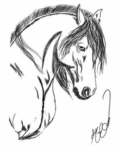 236x295 Paint Horse Drawing