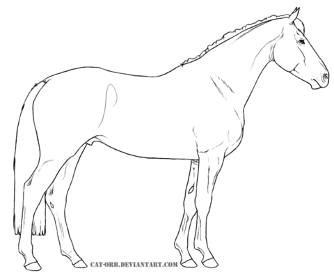 480x402 American Paint Horse Coloring Page Free Printable Coloring Pages