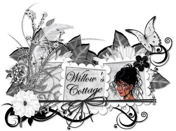 600x447 25 Best Paint Shop Pro Tutorials Images On Psp