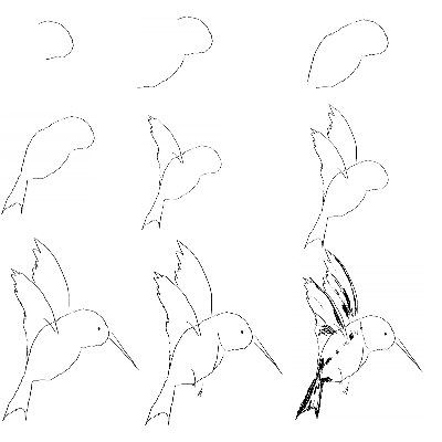 400x400 How To Paint Hummingbirds Flying Down On How To Draw
