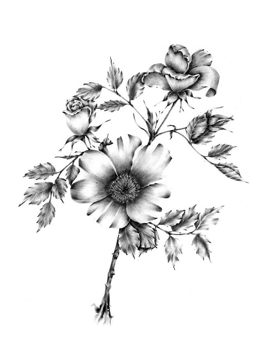 878x1179 Floral Drawings