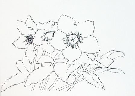 448x320 How To Mix Dark Colours And Vibrant Greens For Painting Winter