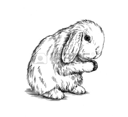 450x413 Color Brush Painting Ink Draw Isolated Rabbit Illustration Stock