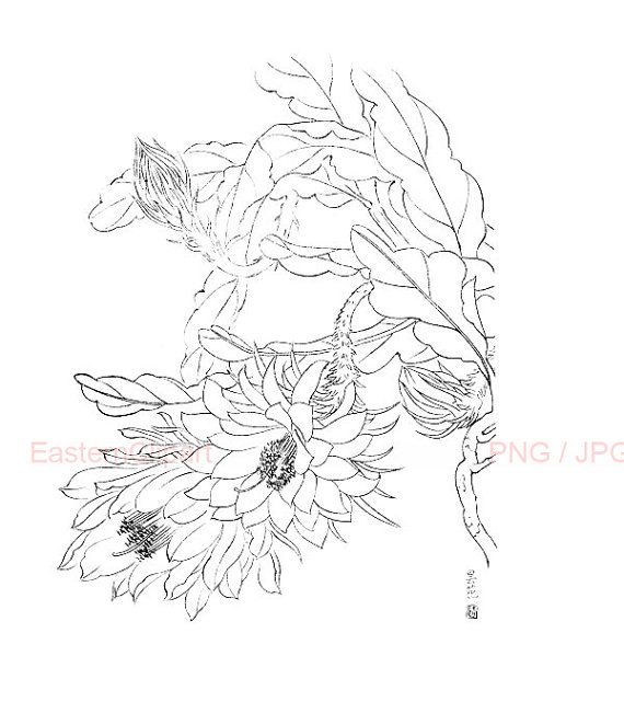 570x641 19 Best Chinese Line Drawing Images On Chinese Brush