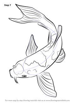 236x333 Step By Step How To Draw A Koi Fish
