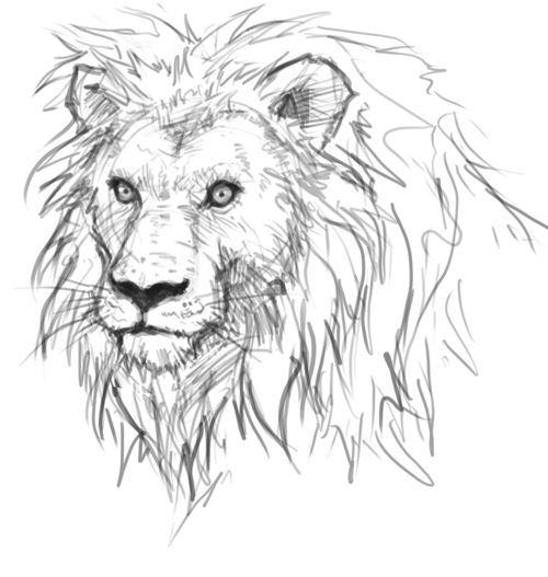 500x527 Lion Thread Painting Patterns