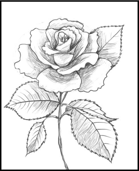 488x600 Craft 360 Glass Painting Patterns Card Ideas (Parchment