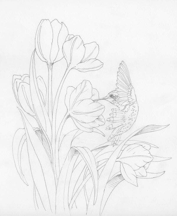 600x732 Free Downloadable Printable Drawing Sketches Sheets To Practice