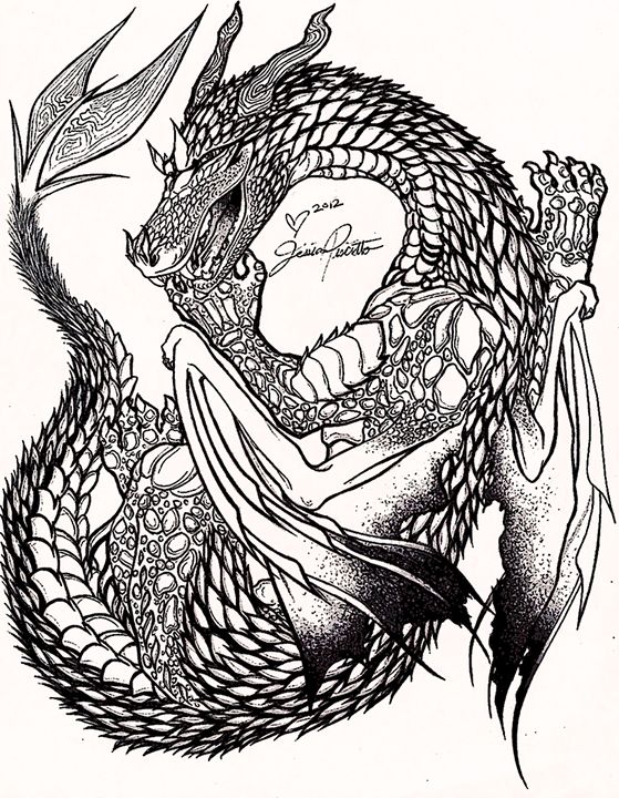 559x720 Dragon Stipple