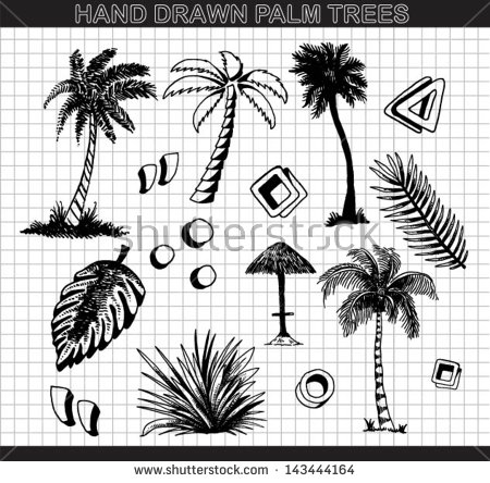 450x444 Drawn Palm Tree Line Drawing