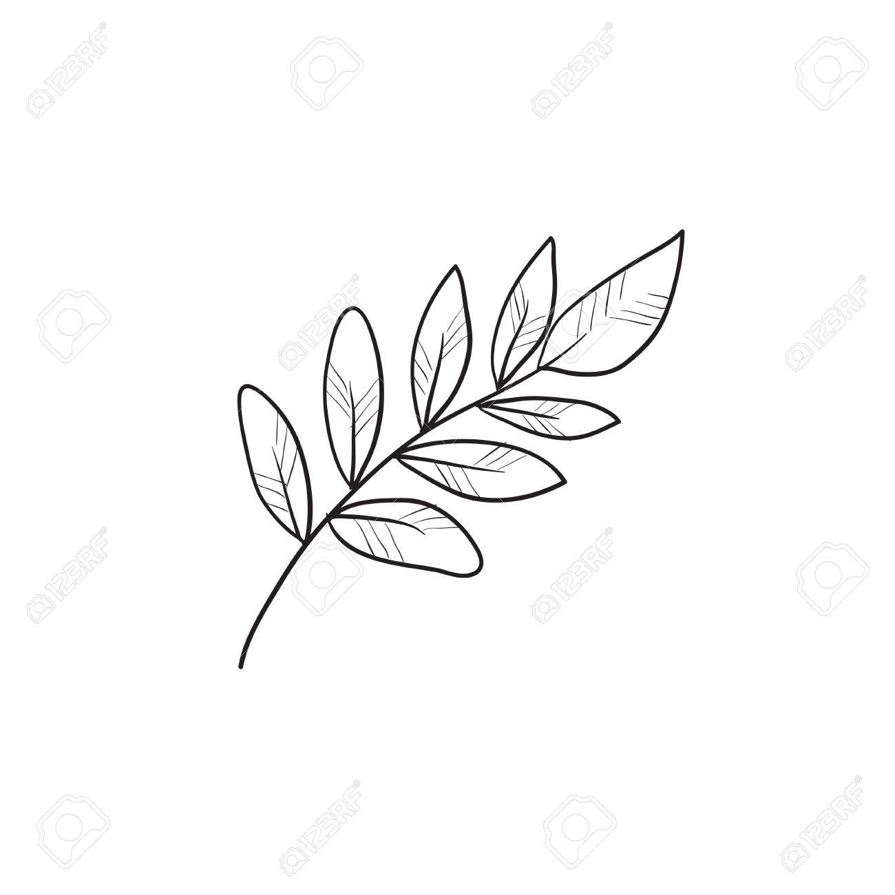 Palm Branch Drawing at GetDrawings | Free download