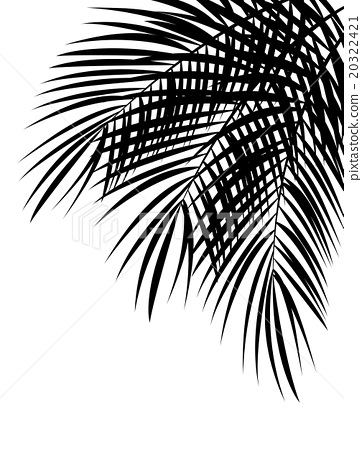 362x450 Palm Leaf Vector Background Illustration