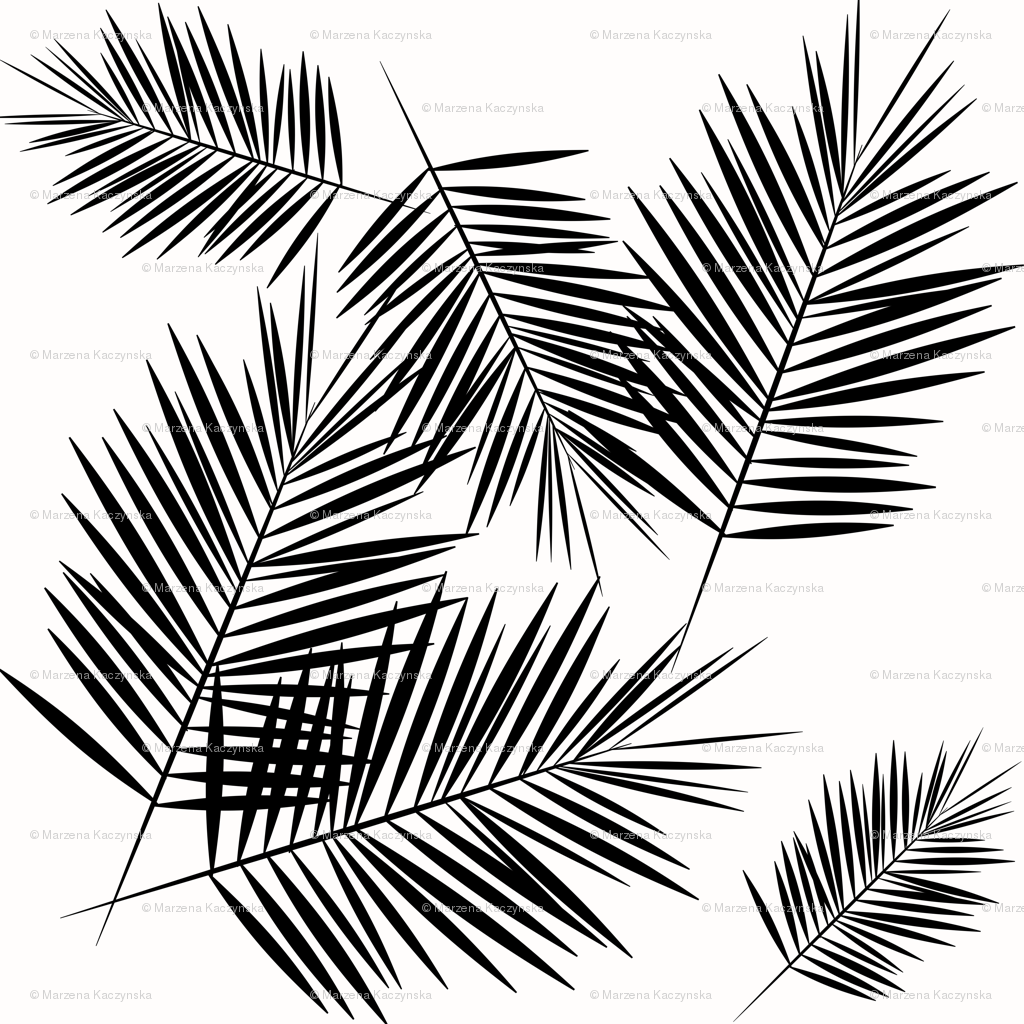 1024x1024 Palm Leaf
