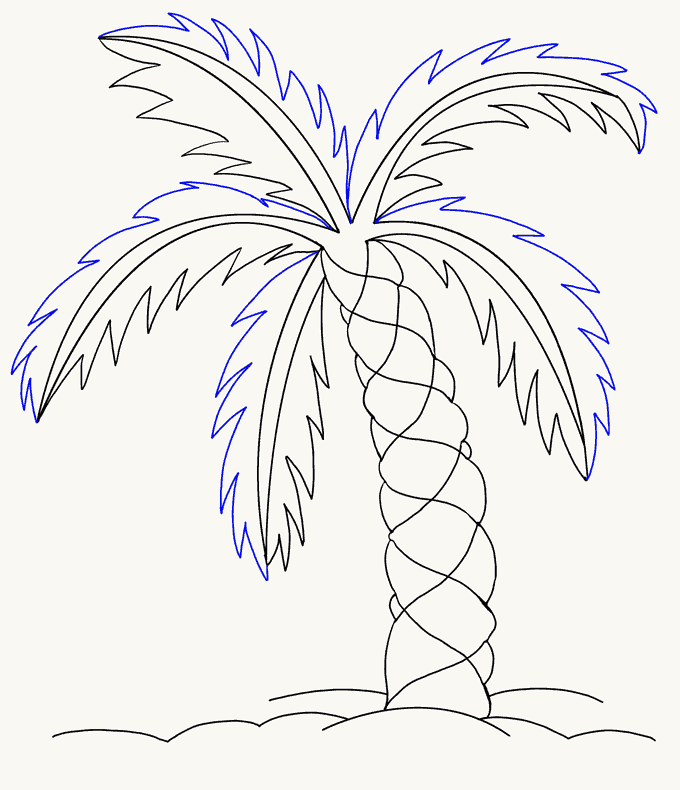 680x790 How To Draw A Palm Tree Easy Drawing Guides