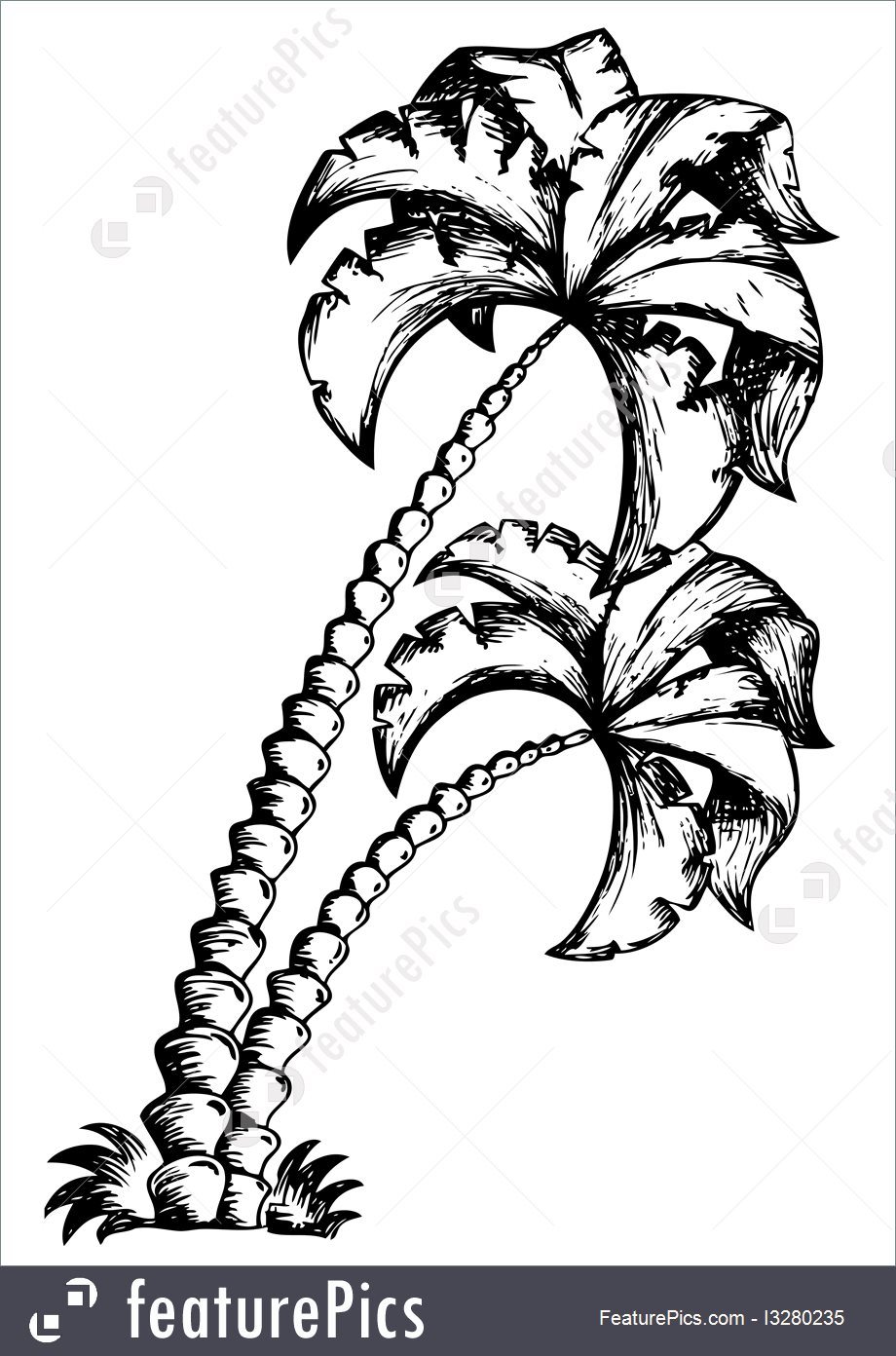 920x1392 Illustration Of Palm Tree Theme Drawing 1