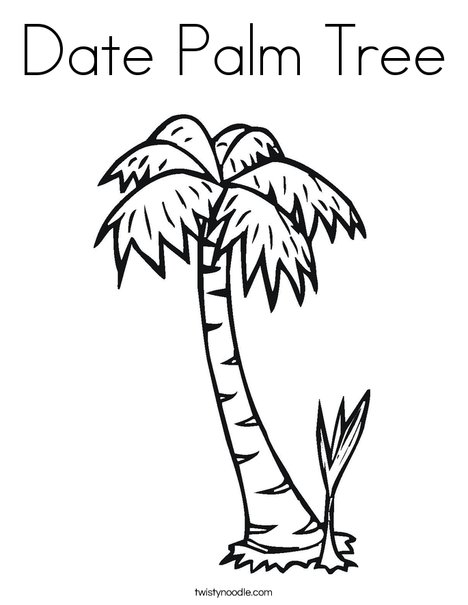 468x605 Date Palm Tree Coloring Page