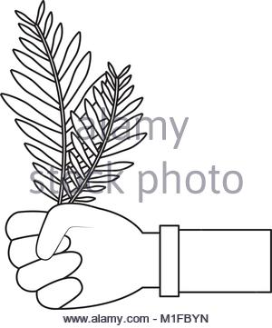 300x361 Hand Holding Tropical Palm Leaf. Top View Stock Photo, Royalty