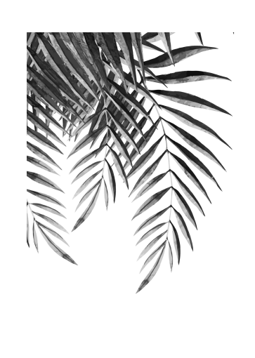 363x510 Palm Fronds