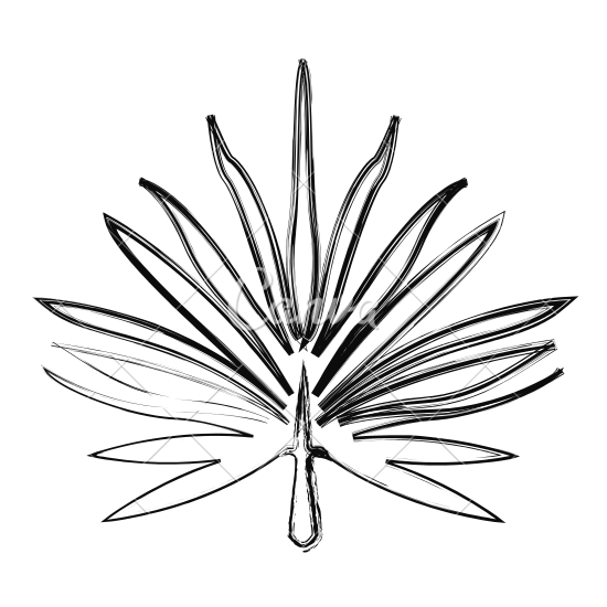 550x550 Branches And Leaves Of Tropical Plants