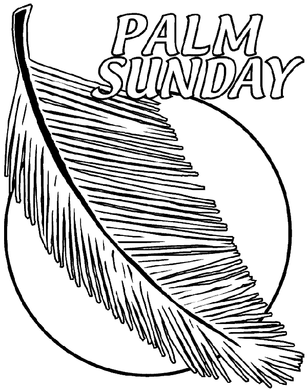 601x762 Palm Fronds Coloring Pages