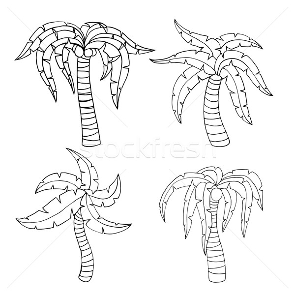 600x600 Palm Frond Stock Vectors, Illustrations And Cliparts Stockfresh