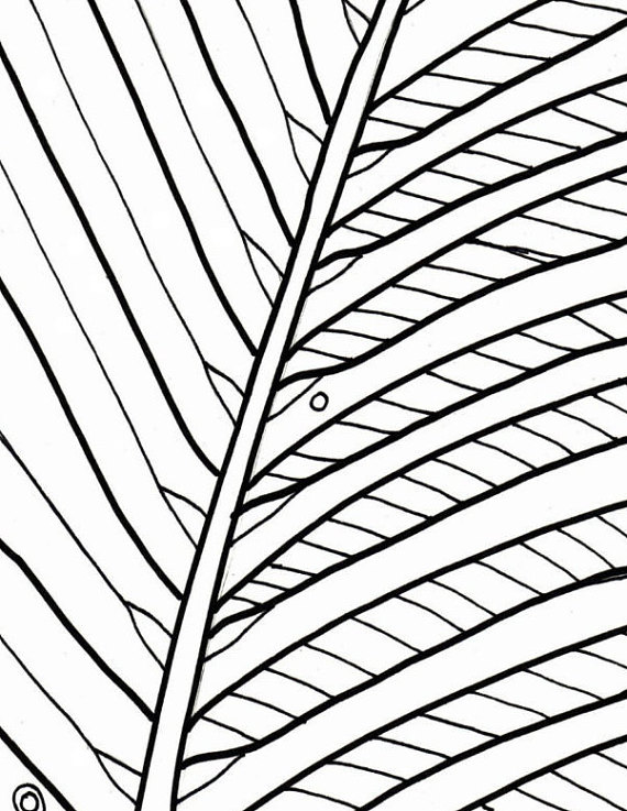 570x737 Palm Tree Coloring Page Beach Art Digital Download Adult