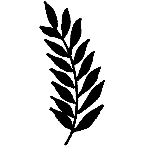 600x600 Purple Daisy Design Bb 905 Left Palm Frond