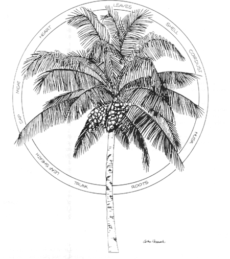 450x507 Tropical Palms