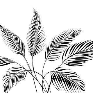 320x320 Tropical Palm Leaves Set.vector Leaf,silhouette Drawing In Vintage