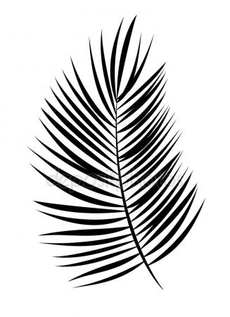 327x450 Fern Leaf Hand Drawn Sketch Icon. Stock Vector Rastudio