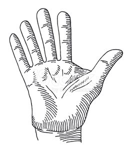 266x299 Hand Palm Stop Gesture Drawing Stock Vectors
