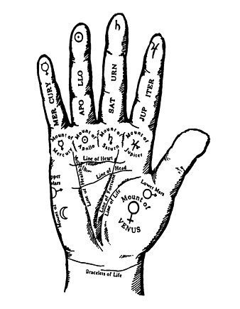 338x435 How To Read Your Palms