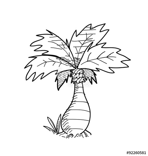 475x500 Palm Tree Doodle, Hand Drawn Vector Doodle Illustration