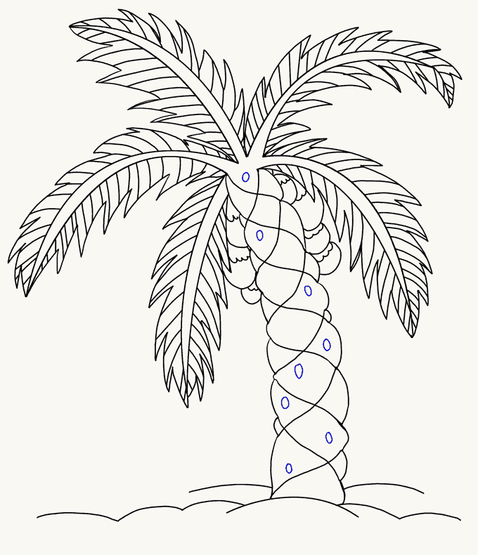 Palm Leaf Drawing Easy - Easy Palm Leaf Drawing | Bodaswasuas