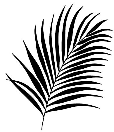 Palm Leaf Drawing at GetDrawings | Free download