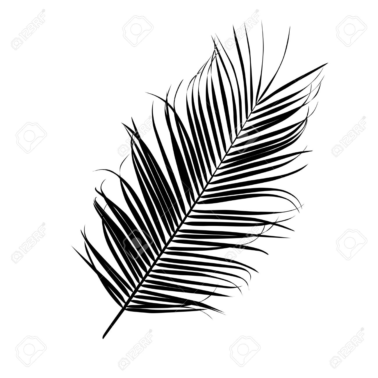 1300x1300 Silhouette Of A Palm Leaf Isolated On White Royalty Free Cliparts