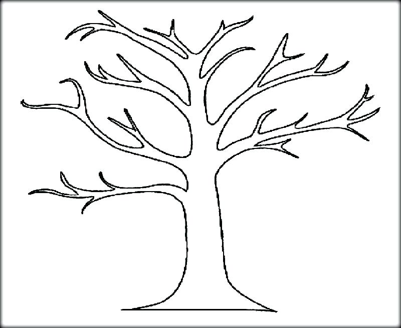 800x654 Coloring Pages Tree Leaf Fall Tree Coloring Pages Trees Latest