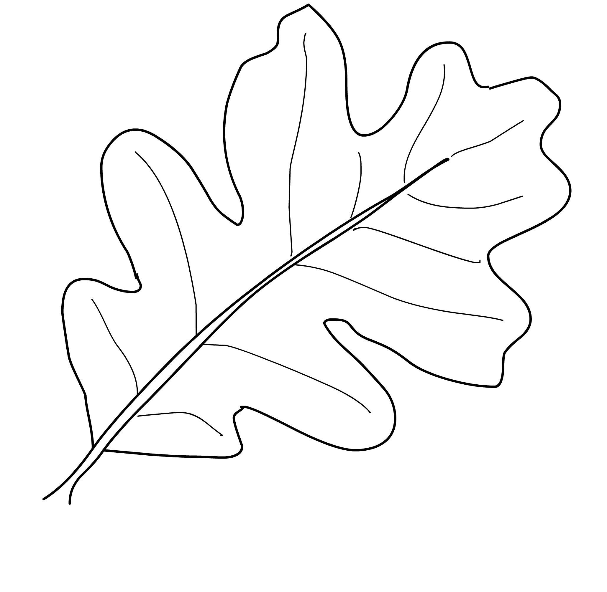 2058x2010 Leaf Coloring Pages Free Draw To Color