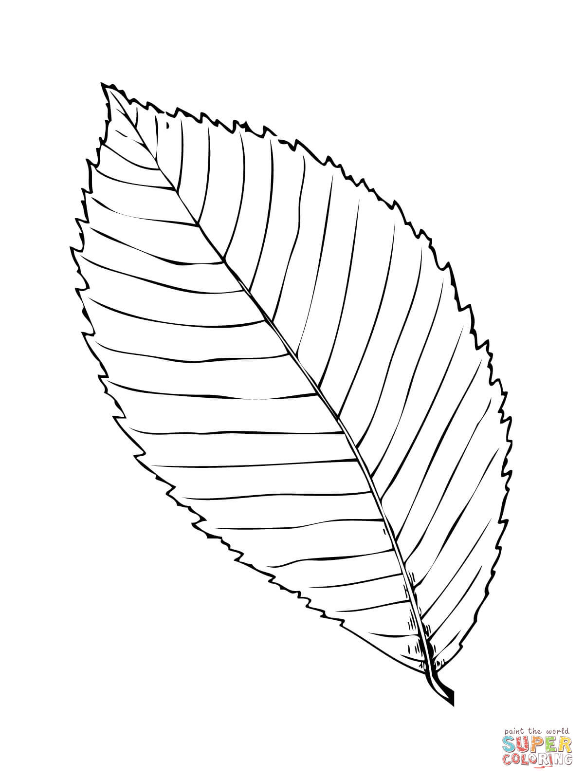 1200x1600 Palm Fronds Coloring Pages