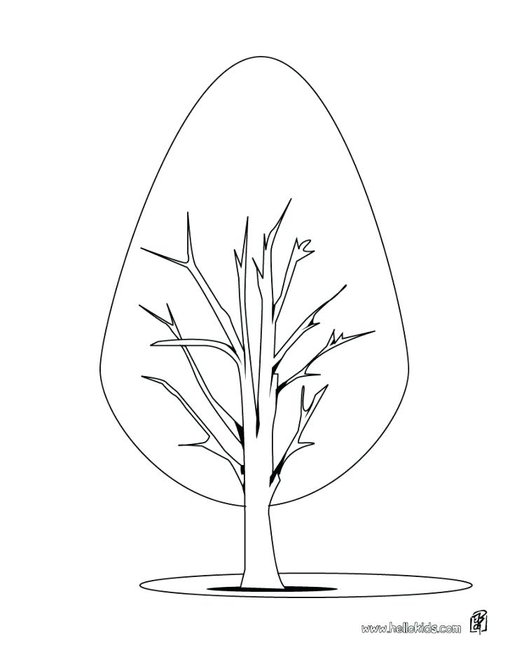 728x941 Palm Leaf Coloring Page Tree With No Leaves Coloring Page Palm